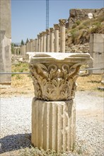 Ruins of the Ancient city of Ephesus in Turkey