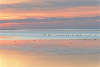 Sunset over the Wadden Sea at low tide