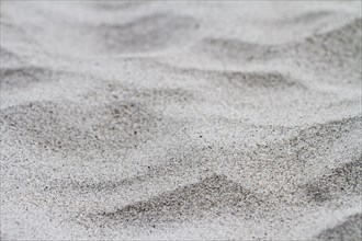 Sand