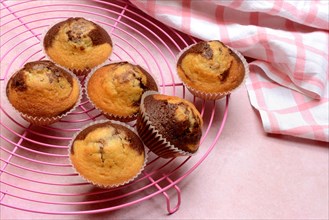Chocolate Muffins on Cake Rack