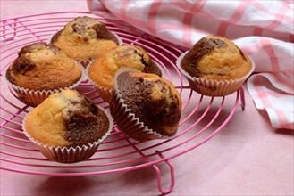 Chocolate Muffins on Cake Rack