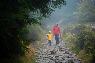 Mum and her little son go on a mountain trail in wet autumn weather. They are accompanied by a dog. Polish mountains
