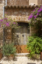 Entrance gate of a typical stone house with bougainvilleas