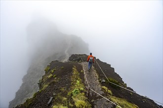 Hikers in the mist