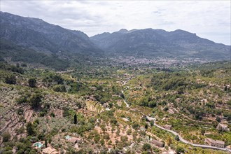 Mediterranean mountain landscape with olive plantations
