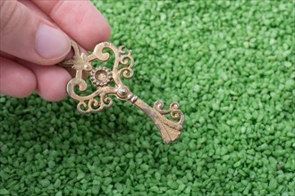 Hand holding retro style gold color key on green sand