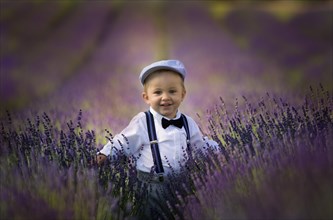 Beautiful little boy on a sunny day in a lavender field. Poland