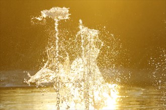 Fountain backlit by setting sun