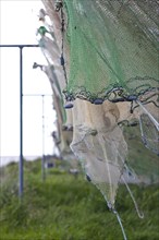 Fishing nets on Langeland