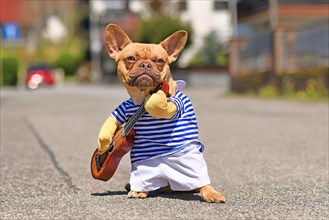French Bulldog dog dressed up with street perfomer musician costume wearing striped shirt and fake arms holding a toy guitar standing in city street on sunny day