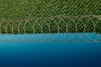 Barbed wire fence used for protection purposes of a pproperty