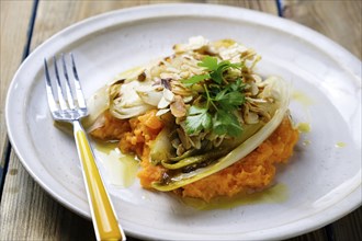 Sweet potato puree with chicory served on a plate