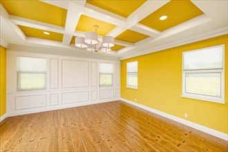 Beautiful yellow custom master bedroom complete with entire wainscoting wall