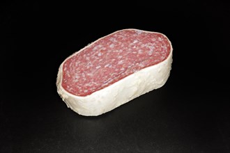A thick slice of salami covered with cheese