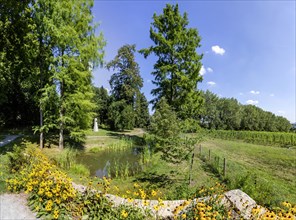 Hohenheim Gardens at Hohenheim Palace