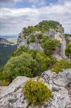 Castell d Alaro Castle