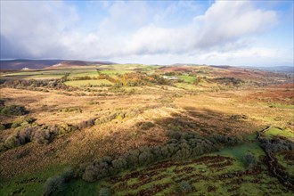 View over Emsworthy Mire from a drone