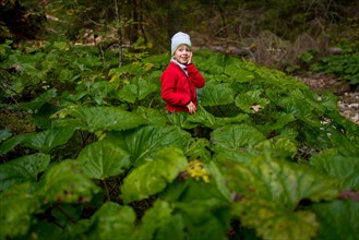 Child standing among large leaves in canyon of Slovak Paradise National Park