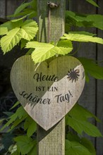 Wooden heart with inscription Heute ist ein schoener Tag!