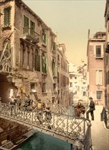 The Paradise Bridge