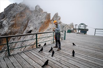Tourist feeds the birds