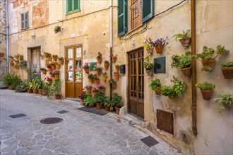 Houses decorated with flower pots