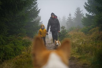 View of the mother with her son and dog walking on a wet mountain trail from the perspective of the dogs head. View from between the dogs ears. Polish mountains