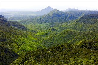 View of Black River Gorges National Park