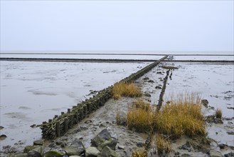 Wooden groynes in the Wadden Sea National Park near Keitum