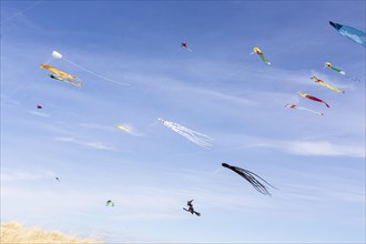 Wind kites on the beach