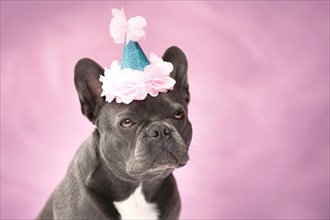 Portrait of black French Bulldog dog wearing party hat on pink background