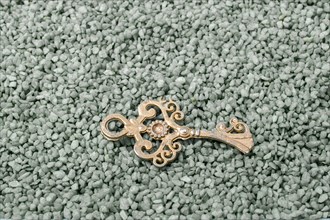 Retro style gold color key on green sand