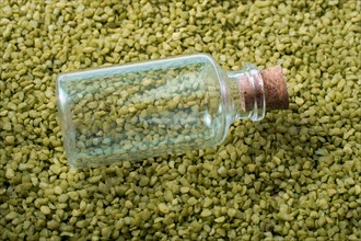 Empty little bottle is placed on green sand