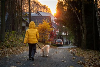 The little kid and his Corgi dog spend time together at sunrise. Fall season