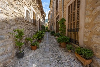 Flower pots in an alley with typical stone houses