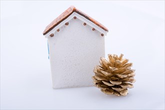 Little model house and a a pine cone on a lwhite background