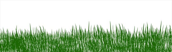 Digitally rendered grass isolated on white background
