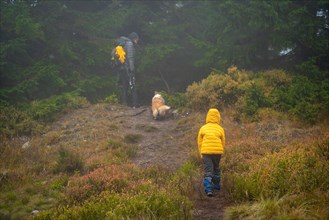 Mom with her son and dogs walk over logs lying on a small stream. Polish mountains