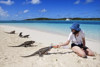 Young woman feeding rock iguanas