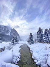 Stream in winter landscape at Chateau Lake Louise Hotel