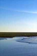 Wadden Sea with salt marsh and tideway