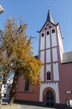 Catholic Provost Church of St. Mariae Geburt in the historic old town