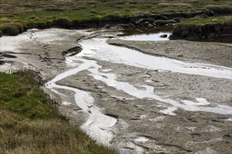 Salt marshes between the sandbanks and dunes
