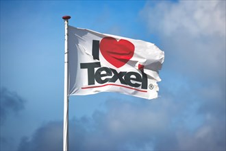 Texel