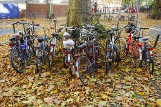 Bicycle parking in autumn leaves