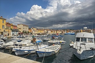 Fishing boats in the the harbour of the city Rovinj
