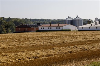 Farm in the Paderborn countryside