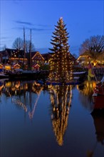 Floating fir tree in the harbour