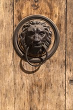 Lions head on a door in Zagreb