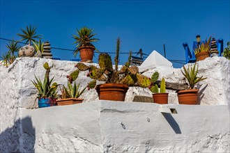 Lachania village